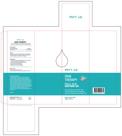 An12 Skin Therapy Vita-b Aloe Soothing Gel (An12 Skin Therapy Vita B Aloe Soothing Gel Label)